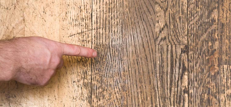 Wood Door Scratch Repair in Country Club